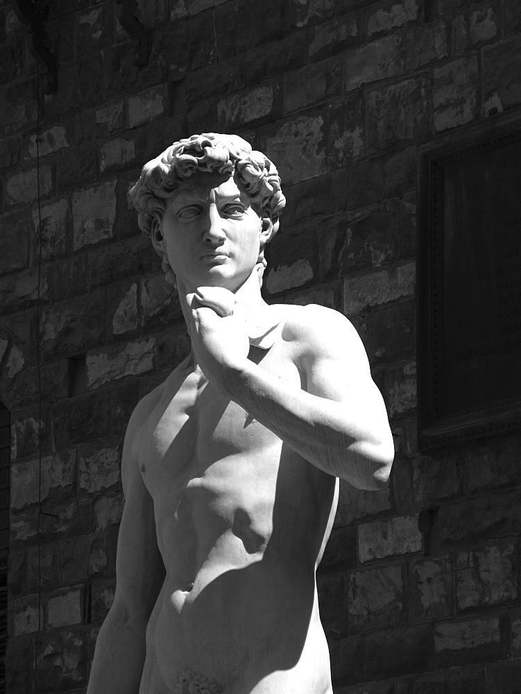 Piazza della Signoria square, copy of David of Michelangiolo, Florence, Tuscany, Italy, Europe, UNESCO World Heritage Site