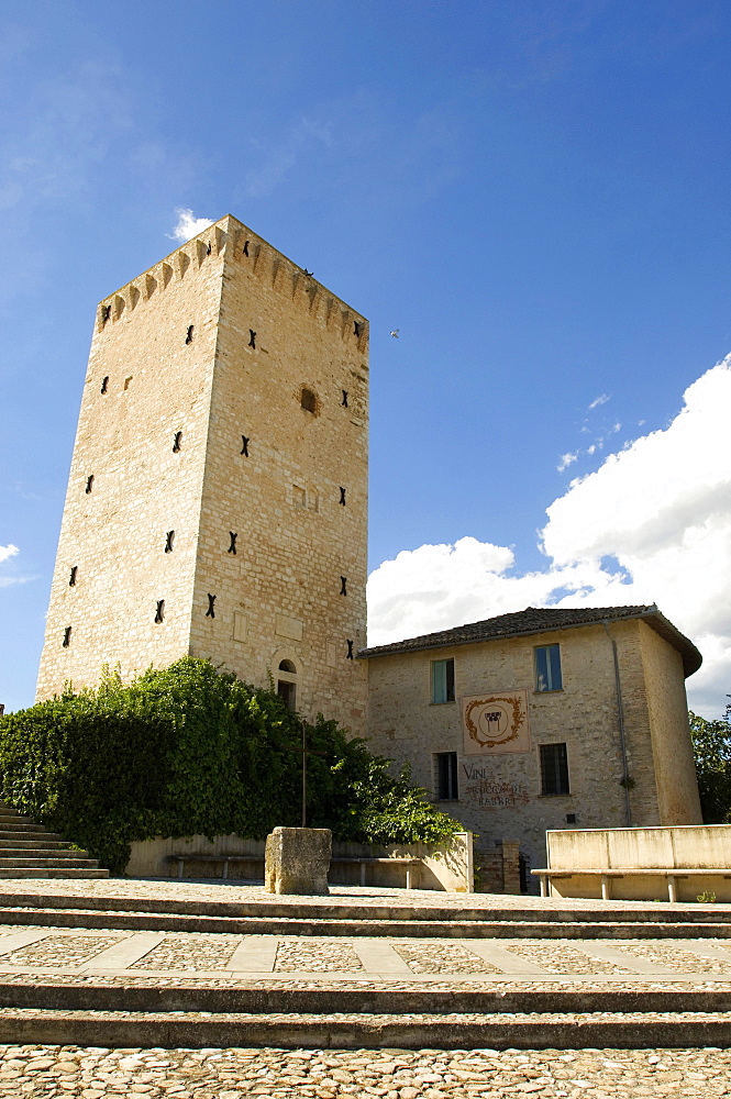 Cantina Rocca dei Fabbri, Montefalco, Umbria, Italy, Europe