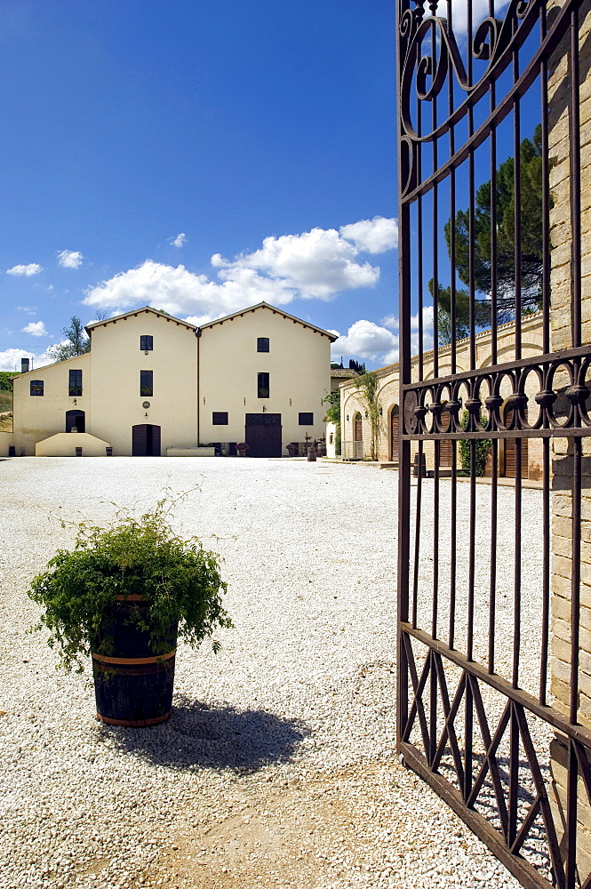 Cantine Scacciadiavoli, Montefalco, Umbria, Italy, Europe