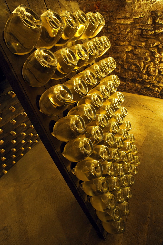 Bosca underground wine cathedral in Canelli, spumante bottles, Asti, Piedmont, Italy, Europe