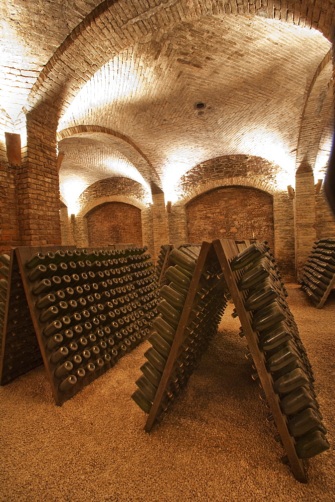 Contratto underground wine cathredral in Canelli, Asti, Piedmont, Italy, Europe