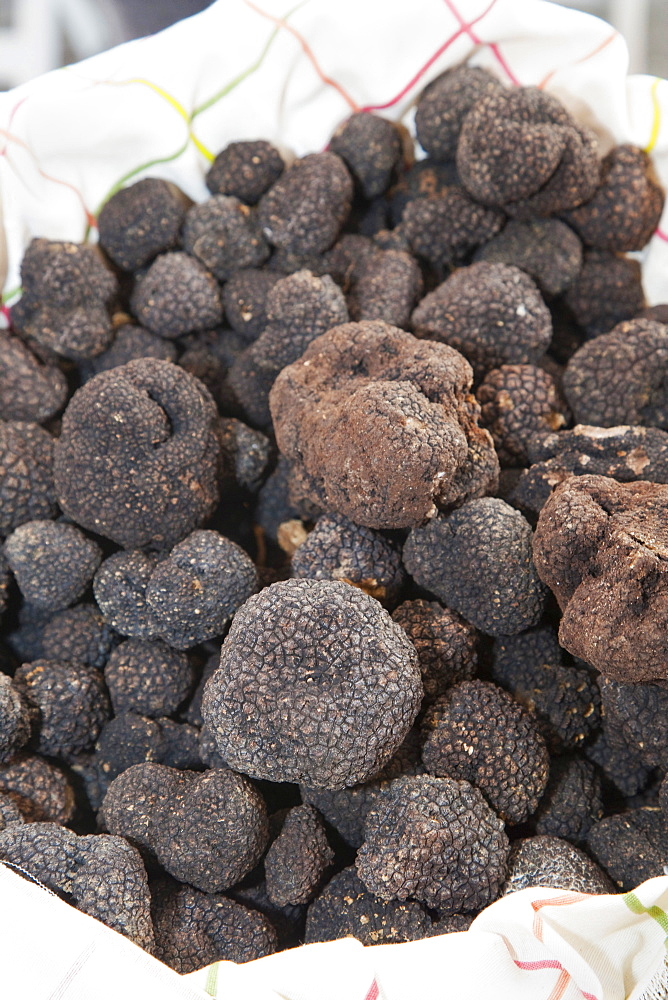 Moncalvo National Truffle Fair, a batch of black truffles , Asti, Piedmont, Italy, Europe