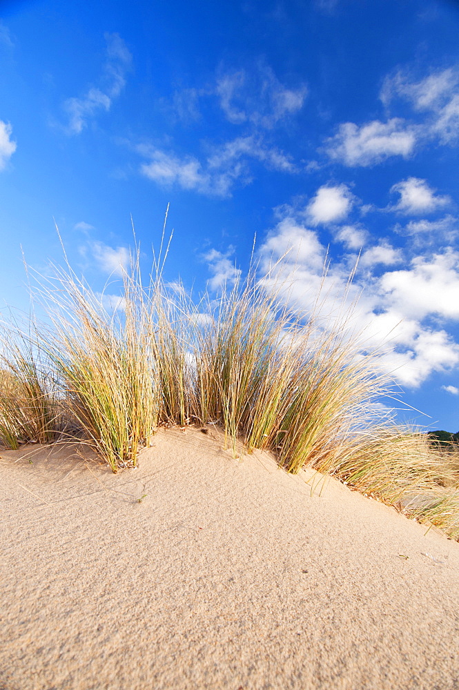 Dunes, Piscinas beach, Arbus, Medio Campidano Province, Sardinia, Italy, Europe