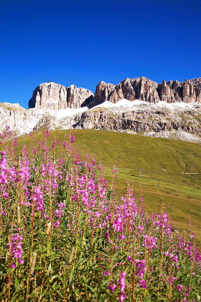 Landscape to Pordoi pass with view on Sella mountain and  Piz Bovû, Dolomites, Fassa valley, Trentino Alto Adige, Italy, Europe