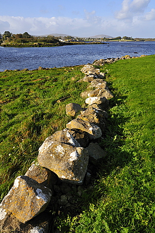 Dry wall, Dunguaire Castle near Kinvarra, Galway Bay, County Galway, Republic of Ireland, Europe