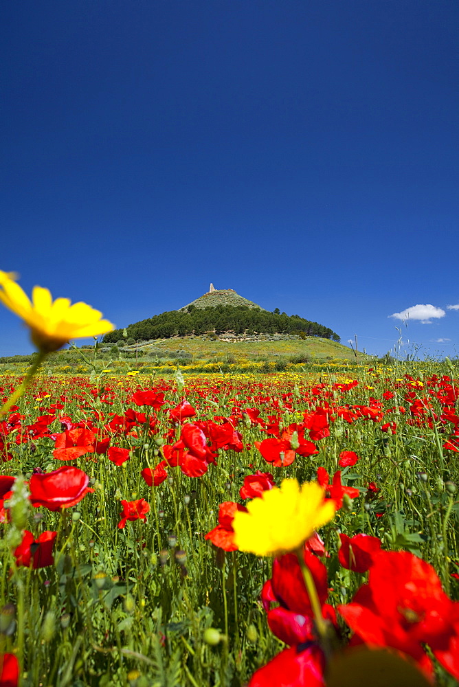 Las Plassas castle, Las Plassas, Marmilla, Medio Campidano (VS), Sardinia, Italy, Europe