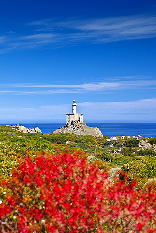 Punta Scorno lighthouse, Asinara island, Porto Torres, Sardinia, Italy, Europe