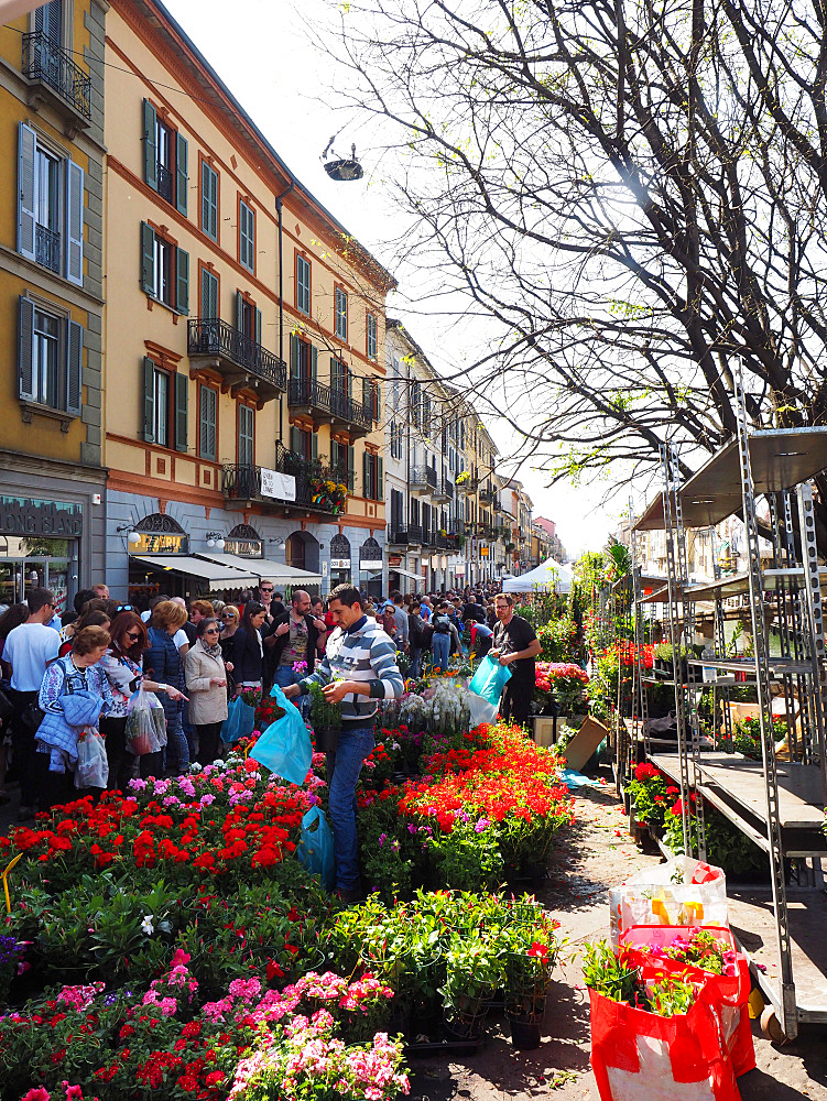 Fiori sul Naviglio, Sunday garden and flower's market, Naviglio Grande, Milan, Lombardy, Italy, Europe