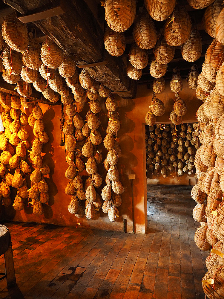 Dallatana cellars where the precious culatello is seasoned, similar to cured ham but made from the filet or loin of the hind leg, Roncole Verdi, Busseto, Emilia Romagna, Italy, Europe