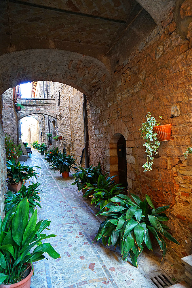 Historical center, Spello, Umbria, Italy, Europe