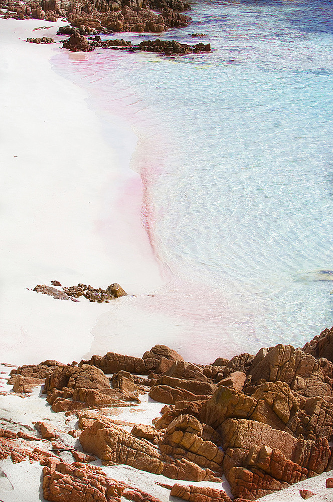 Pink Beach (Spiaggia Rosa or Cala di Roto), Island of Budelli; La Maddalena Archipelago, Bocche di Bonifacio, Sardinia, Italy, Europe