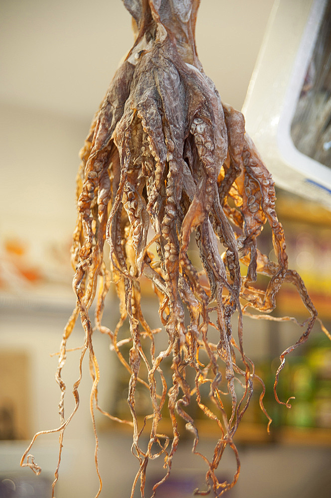 Dried Octopus, Mercado Central, plaza Mercato, Valencia, Spain, Europe