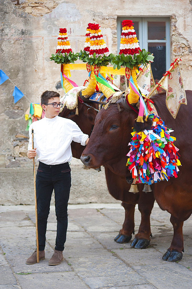 Chariot, Procession of Santa Maria de is Aquas, Sardara, Sardinia, Italy, Europe