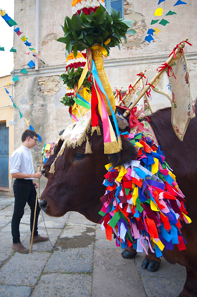 Procession of Santa Maria de is Aquas, Sardara, Sardinia, Italy, Europe