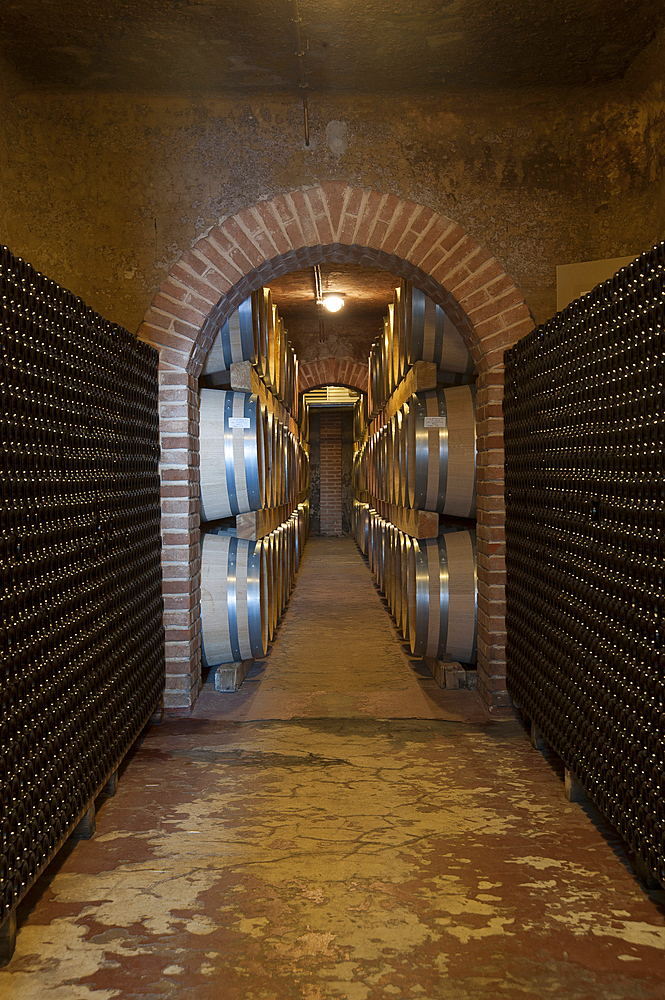 Cantina di Santadi, Sardinia, Italy, Europe