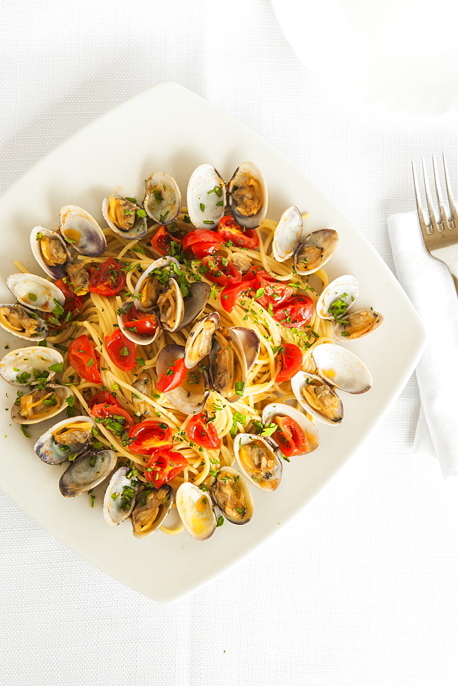 Spaghetti with Pachino cherries tomatoes, fresh clams, extra vergin olive oil and parsley