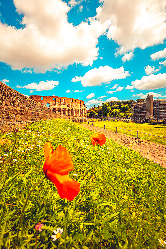 Roman gardens upon the Palatine Hill with beautiful view on Coliseum in background, Rome, Italy, Europe