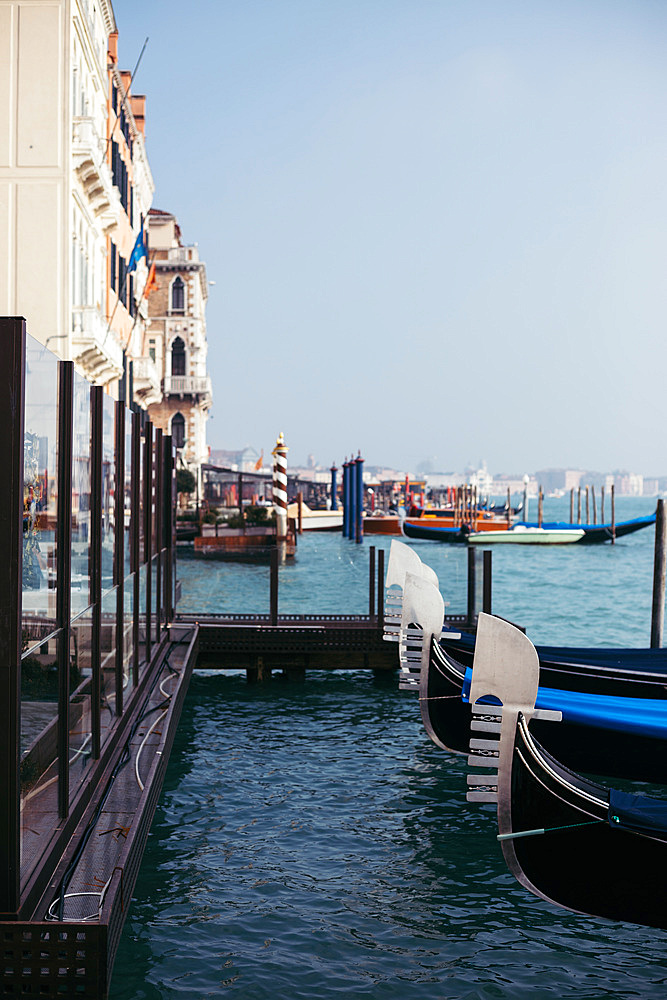 View of gondolas in Venice, Veneto, Italy, Europe