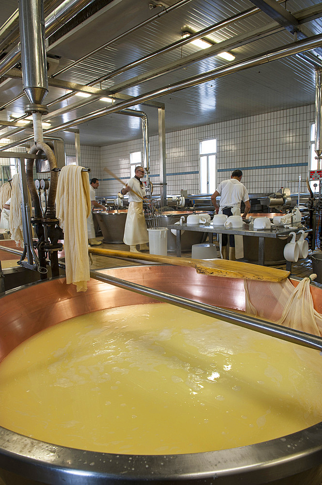 Production of Parmigiano Reggiano cheese at the Caseificio Sociale Castellazzo, Campagnola Emilia, Modena, Emilia Romagna, Europe, Italy