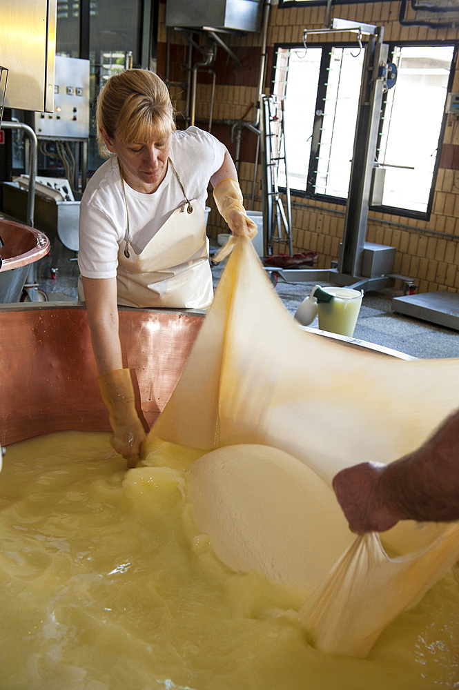 Production of Parmigiano Reggiano cheese at the Hombre dairy, Modena, Emilia Romagna, Europe, Italy