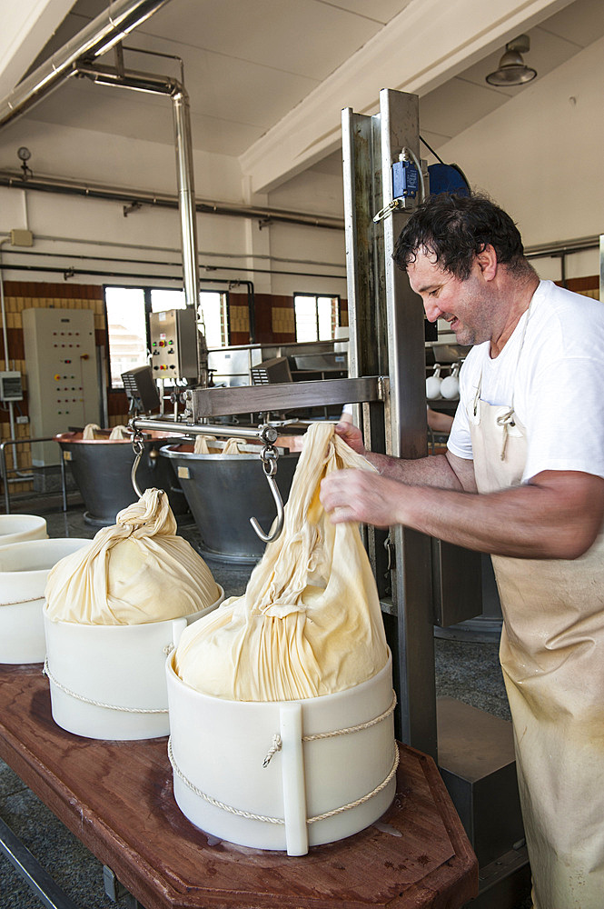 Production of Parmigiano Reggiano cheese at the Hombre dairy, Modena, Emilia Romagna, Europe, Italy