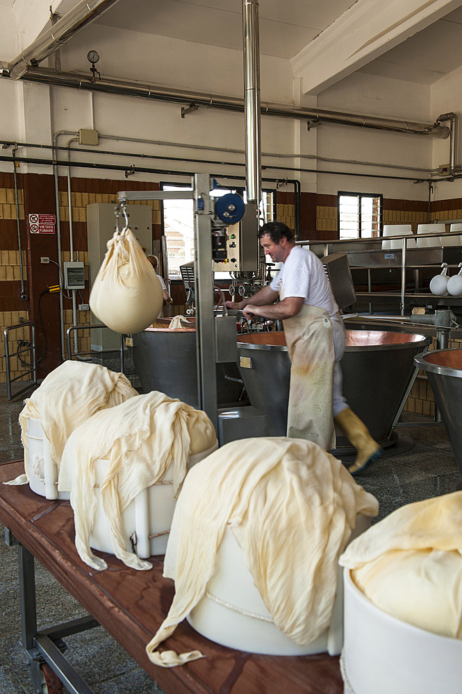 Production of Parmigiano Reggiano cheese at the Hombre dairy, Modena, Emilia Romagna, Europe, Italy