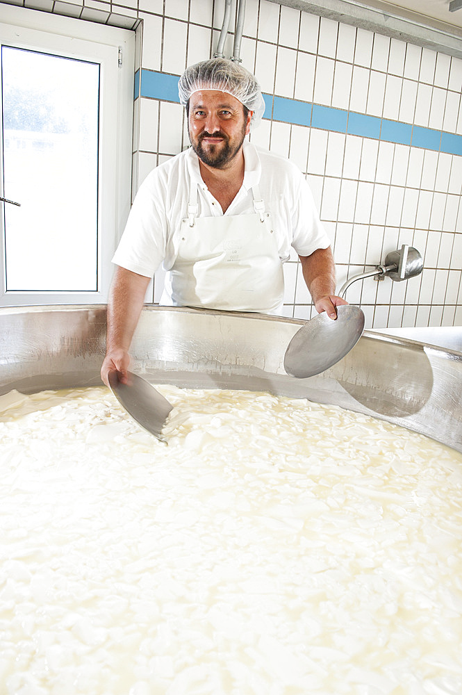 Sant'Antonio Agricultural Cooperative, Dairy company for the production of Strachitunt, typical raw milk cheese, raw paste, possibly blue, produced with whole cow's milk with the two curds technique, milk is obtained about a hundred Brown Alpine cows at 800 meters above sea level, DOP cheese, Val Taleggio valley; Lombardy; Italy; Europe.