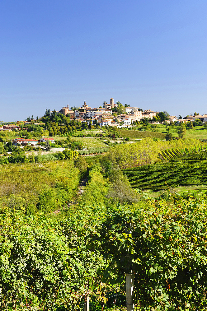 La Morra, around the town a beautiful but man-made land characterized by vineyards, is the Langa, Cuneo, Piedmont, Italy, Europe, UNESCO, World Heritage Site