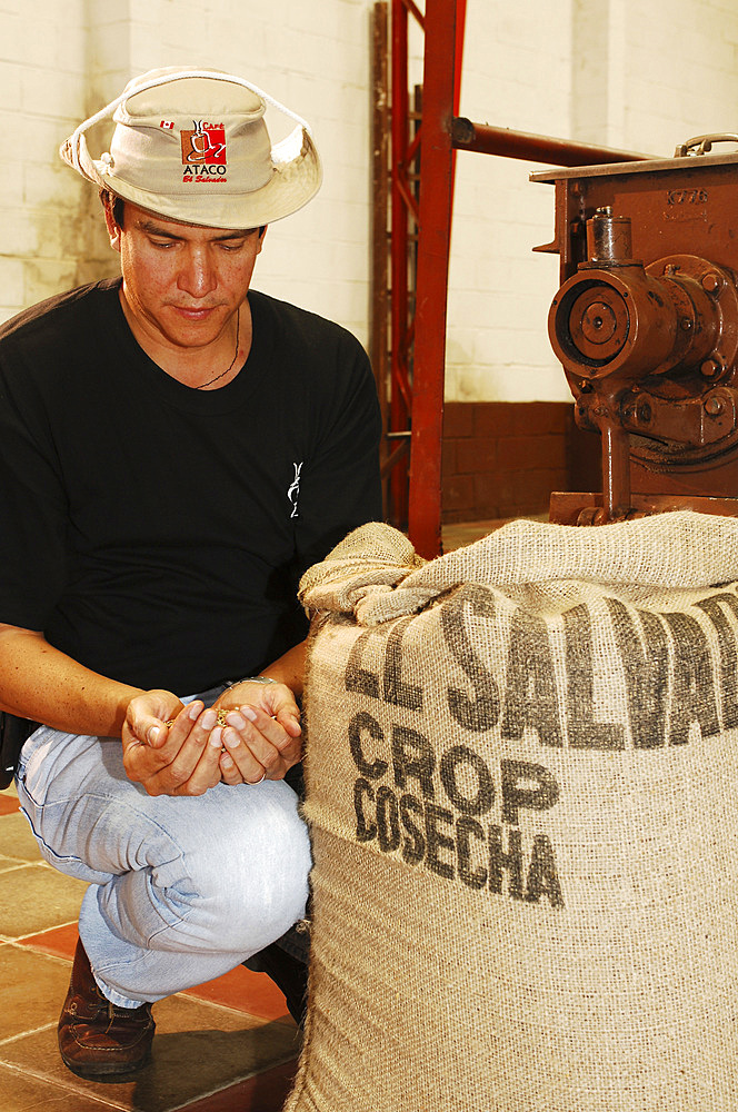 Roasted coffee beans. Coffee processing at the Finca El Carmen. El Salvador, Central America.