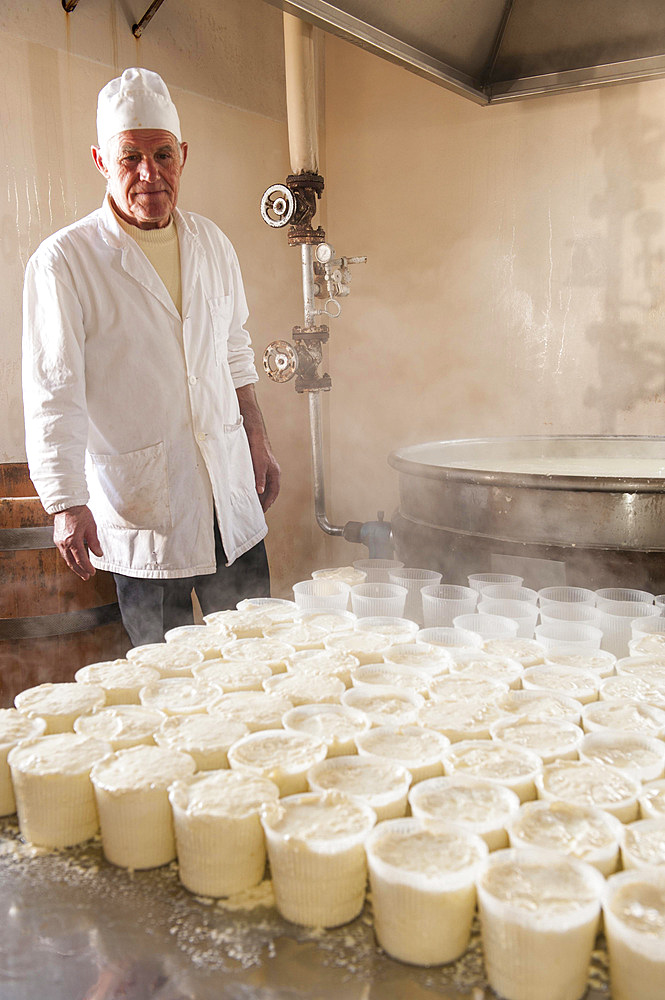 Making Ricotta cheese with milk from Modica cows at the Floridia dairy. Ispica, Ragusa, Sicily, Italy, Europe.