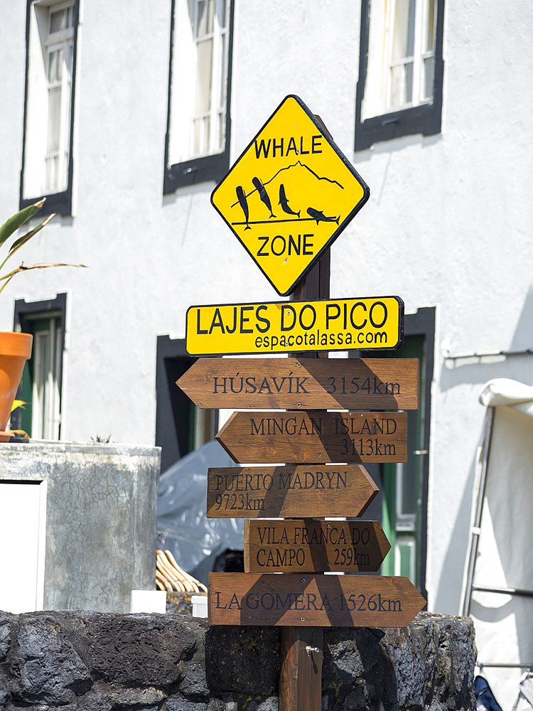 Signpost to whale watching hot spots. Village Lajes do Pico on Pico Island, an island in the Azores (Ilhas dos Acores) in the Atlantic ocean. The Azores are an autonomous region of Portugal. Europe, Portugal, Azores