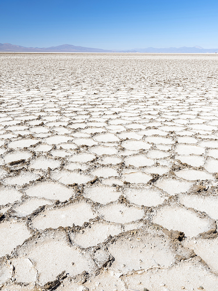 Surface of the Salar predominantly natriumchloride. Landscape on the salt flats Salar Salinas Grandes in the Altiplano. South America, Argentina