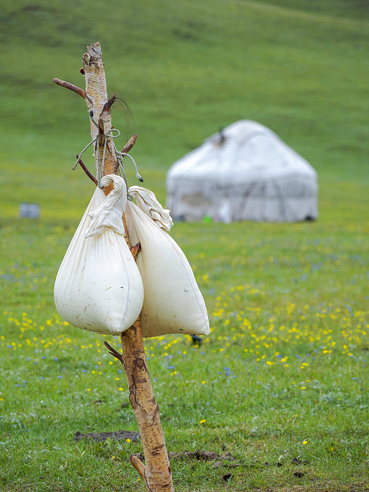 Traditional making of Joghurt and Kaschk. The Alaj Valley in the Pamir mountains. Asia, Central Asia, Kyrgyzstan