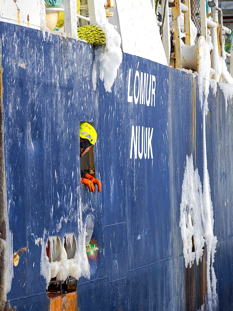 Trawler Lomur run by Royal Greenland. Winter in the frozen harbour of town Ilulissat on the shore of Disko Bay. America, North America, Greenland, Denmark