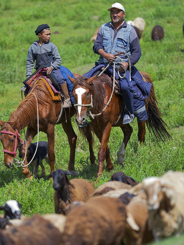 Shepherd on horseback. Sheep drive to their high altitude summer pasture. National Park Besch Tasch in the Talas Alatoo mountain range, Tien Shan or Heavenly Mountains. Asia, Central Asia, Kyrgyzstan