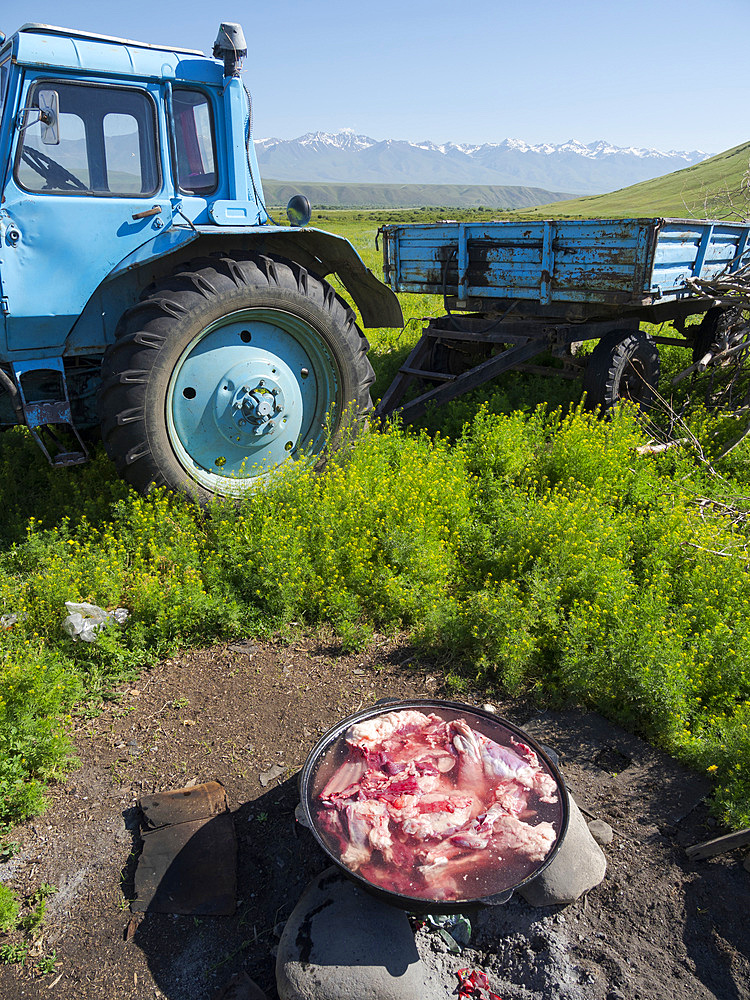 A sheep is slaughtered and cooked for a celebration. A typical farm on the Suusamyr plain, a high valley in Tien Shan Mountains. Asia, central Asia, Kyrgyzstan