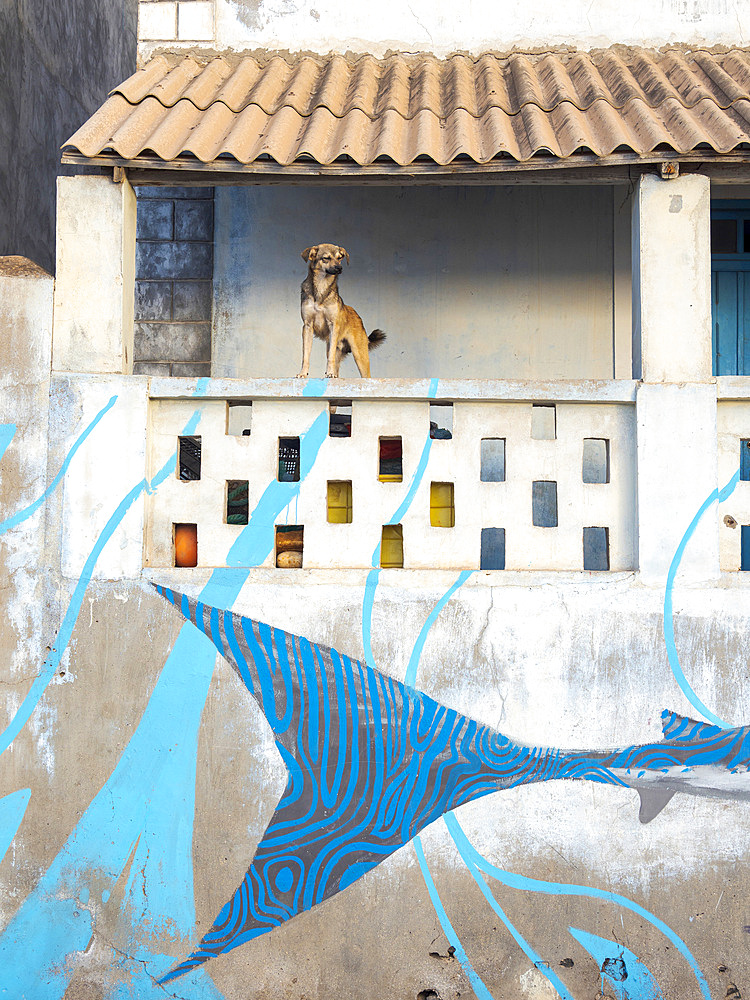 Shark, mural on old house. Town Ponta do Sol, Island Santo Antao, Cape Verde in the equatorial atlantic. April