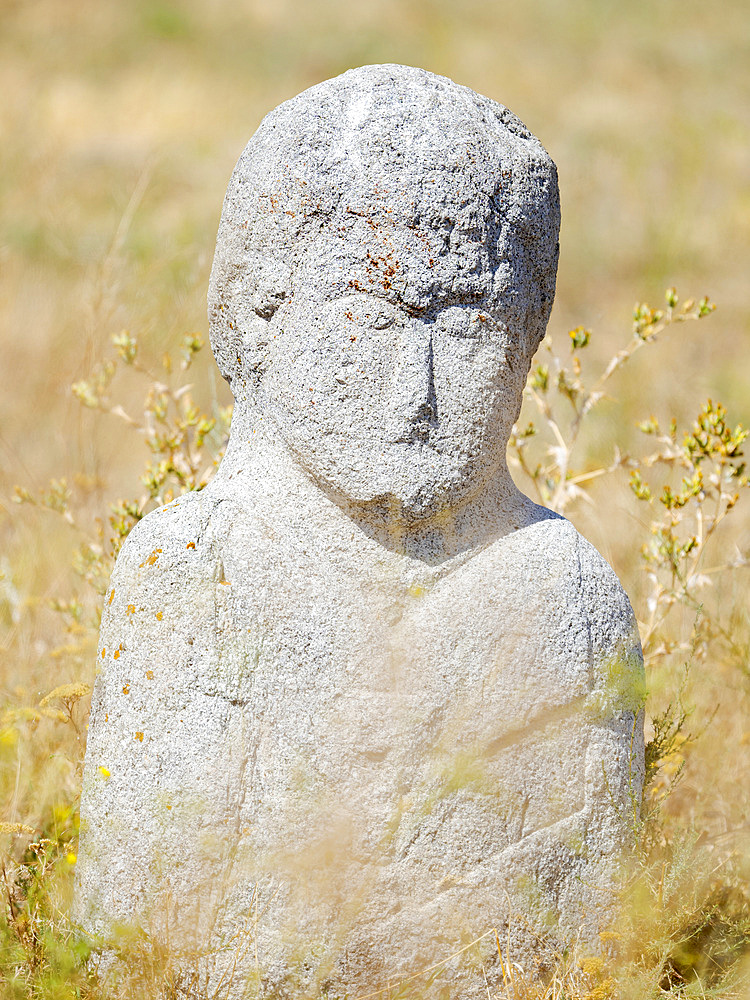 Kyrgyz stelae or Balbal. The area of Balasagun an ancient city of the Kara-Khanid Khanate, part of the UNESCO world heritage silk road of the chang'an Tien Shan corridor in the foothills of Tien Shan close to Bishkek. Asia, central Asia, Kyrgyzstan