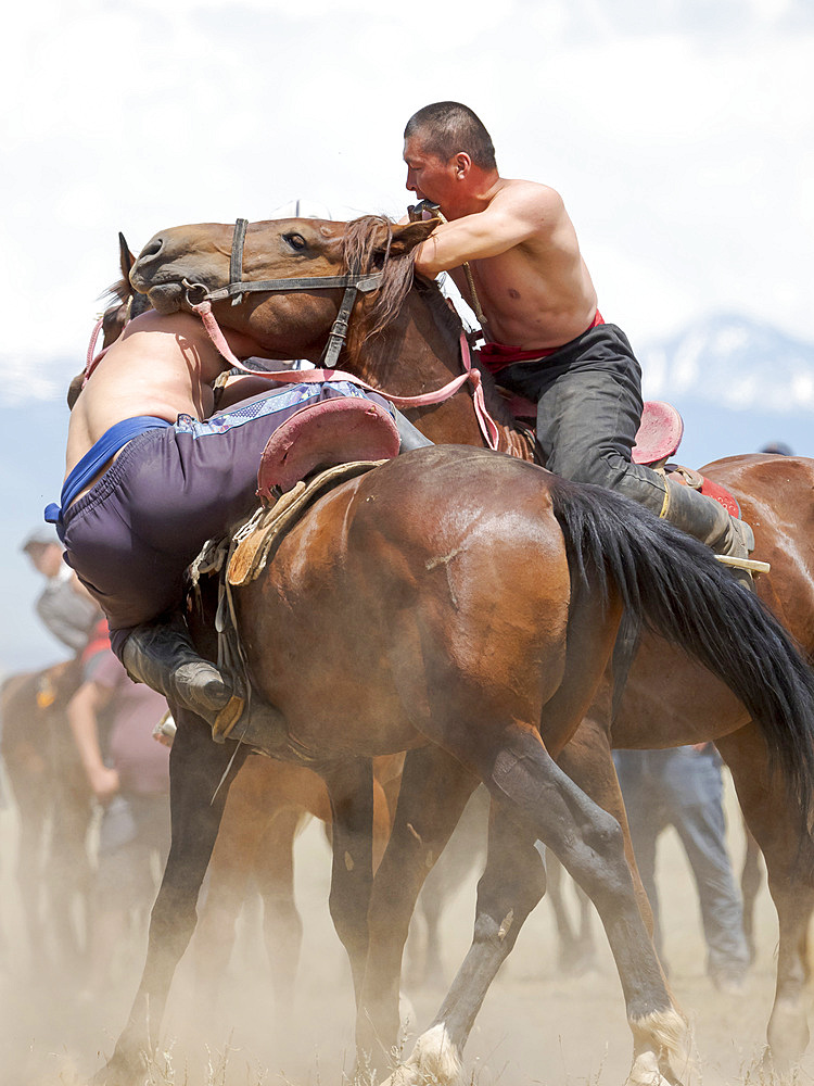 Er Enish or Oodarysh, wrestling from horseback, a traditional equestrian sport. Folk and Sport festival on the Suusamyr plain commemorating Mr Koshomkul, a sportsman and folk hero of the last century. Asia, central Asia, Kyrgyzstan