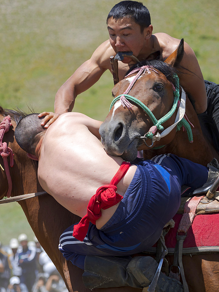 Er Enish or Oodarysh, wrestling from horseback, a traditional equestrian sport. Folk and Sport festival on the Suusamyr plain commemorating Mr Koshomkul, a sportsman and folk hero of the last century. Asia, central Asia, Kyrgyzstan