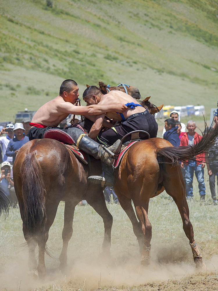 Er Enish or Oodarysh, wrestling from horseback, a traditional equestrian sport. Folk and Sport festival on the Suusamyr plain commemorating Mr Koshomkul, a sportsman and folk hero of the last century. Asia, central Asia, Kyrgyzstan