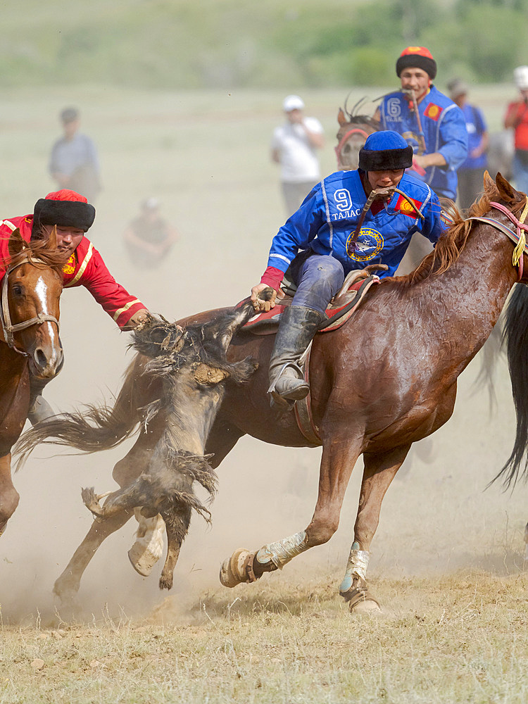 Kok Boru (Buzkashi), traditional equestrian team sport. Festival on the Suusamyr plain commemorating Mr Koshkomul, a sportsman and folk hero of the last century. Kok Boru is listed as UNESCO Intangible Cultural Heritage Asia, central asia, Kyrgyzstan