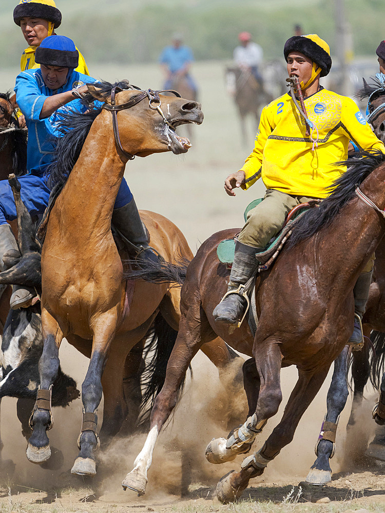 Kok Boru (Buzkashi), traditional equestrian team sport. Festival on the Suusamyr plain commemorating Mr Koshkomul, a sportsman and folk hero of the last century. Kok Boru is listed as UNESCO Intangible Cultural Heritage Asia, central asia, Kyrgyzstan