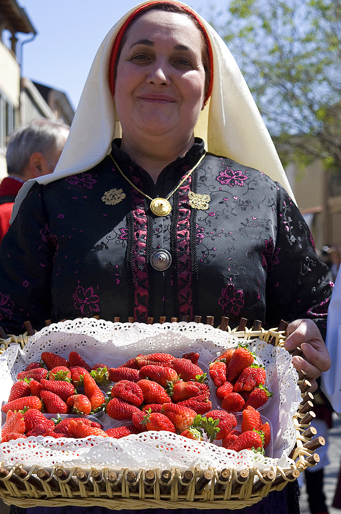 Strawberries, Terralba, Provincia di Oristano, Sardinia, Italy