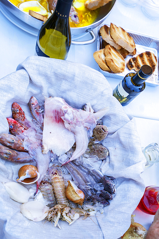 Piazza del Borgo square, Fish for the traditional white saffron brodetto, Porto Recanati, Marche, Italy, Europe