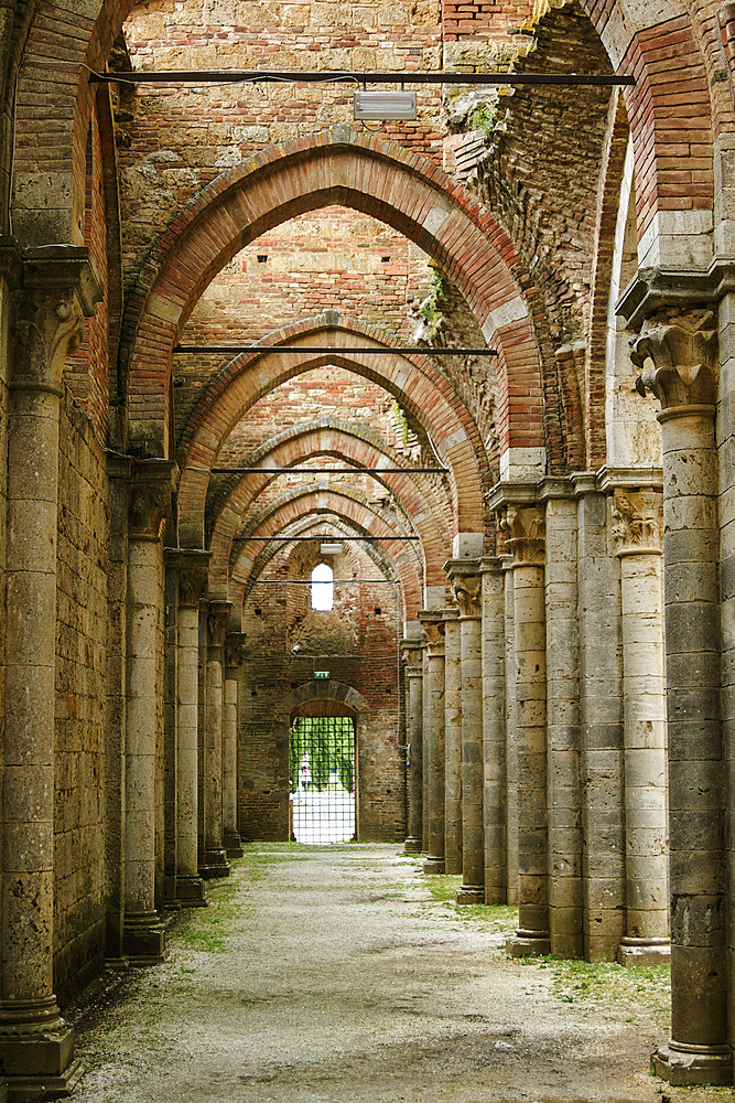 Abbey of San Galgano, Tuscany, Italy, Europe