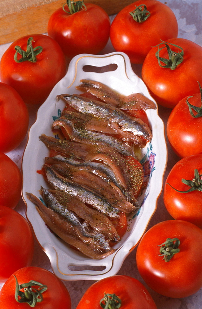 Anchovies, Camogli, Liguria, Italy