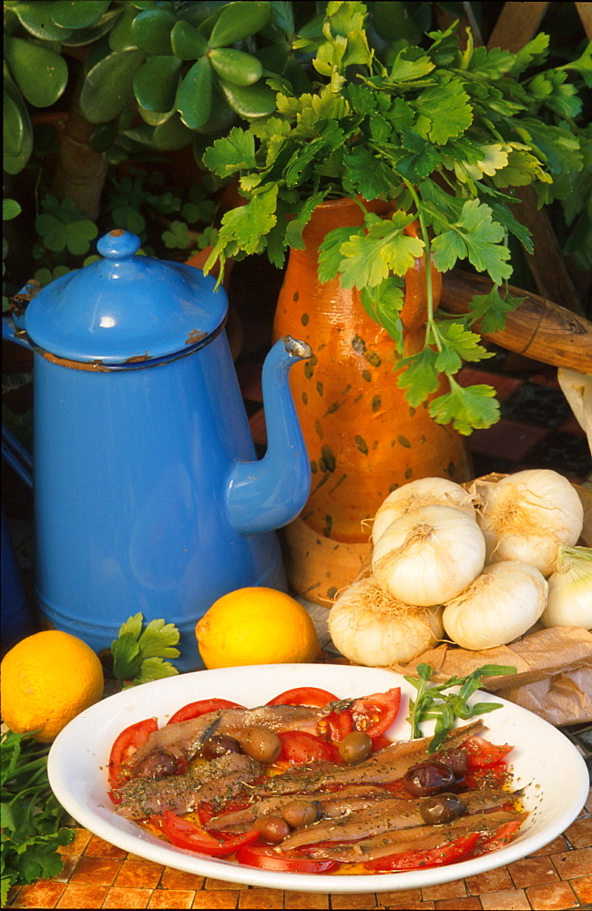 Anchovies with tomatoes and olives, Camogli, Liguria, Italy