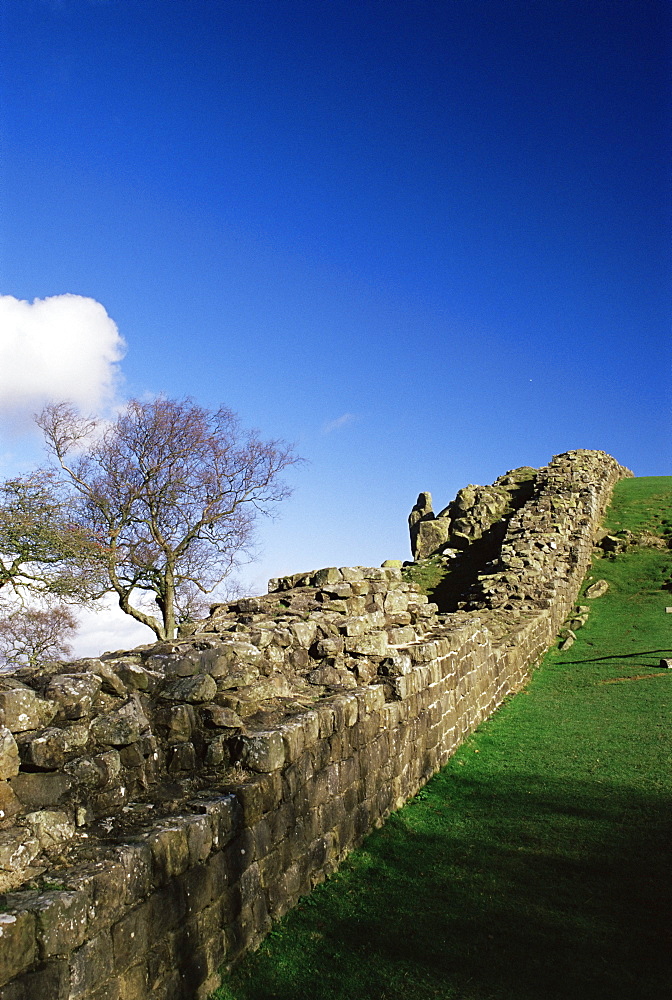 Roman Wall, Walltown Crags, Hadrians wall, Unesco world heritage site, Northumbria, England, United Kingdom, Europe