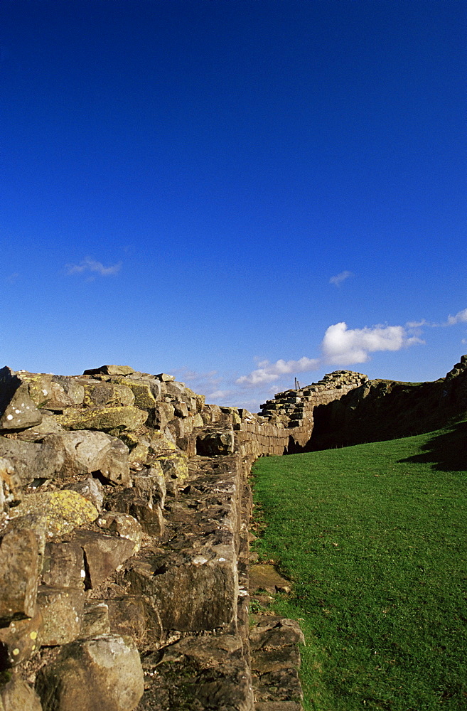 Wallcrags, Roman wall, Hadrian's Wall, UNESCO World Heritage Site, Northumberland (Northumbria), England, United Kingdom, Europe